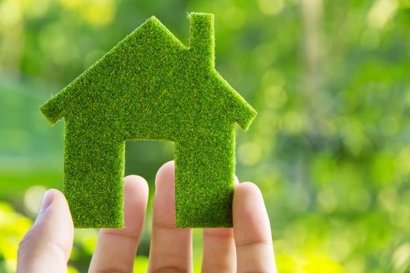 person holding a house made of grass and plants
