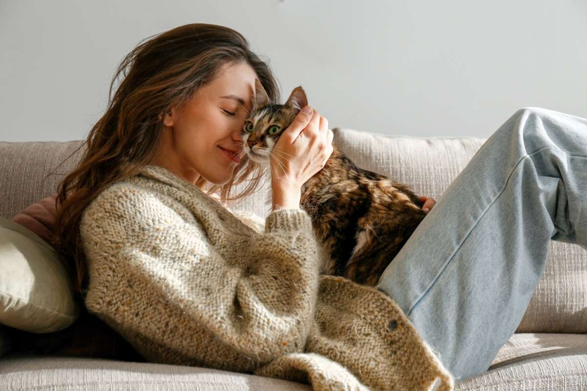 Portrait of young woman holding cute siberian cat with green eyes