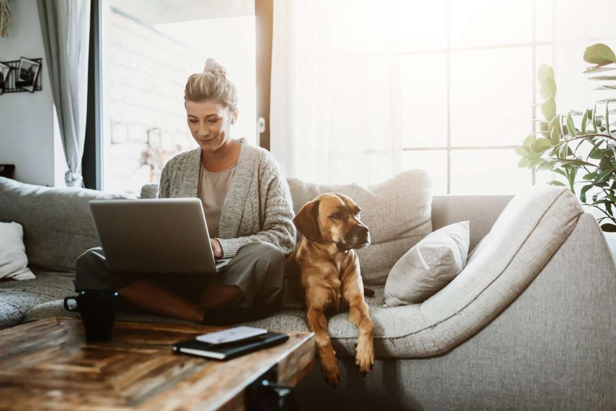 Businesswoman working on laptop computer sitting at home with a dog pet and managing her business