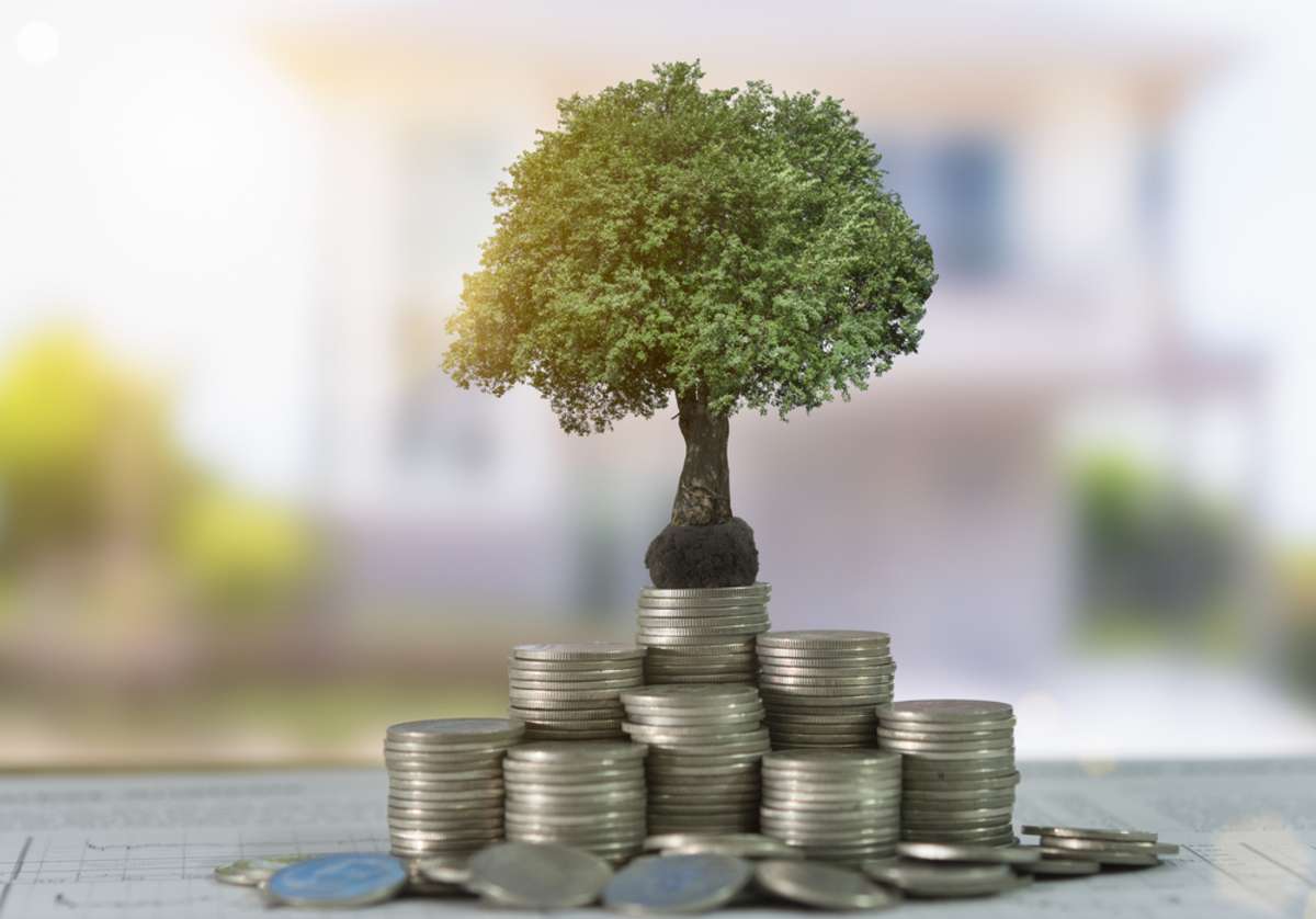 Tree growing on a stack of coins, growing real estate investing portfolio concept